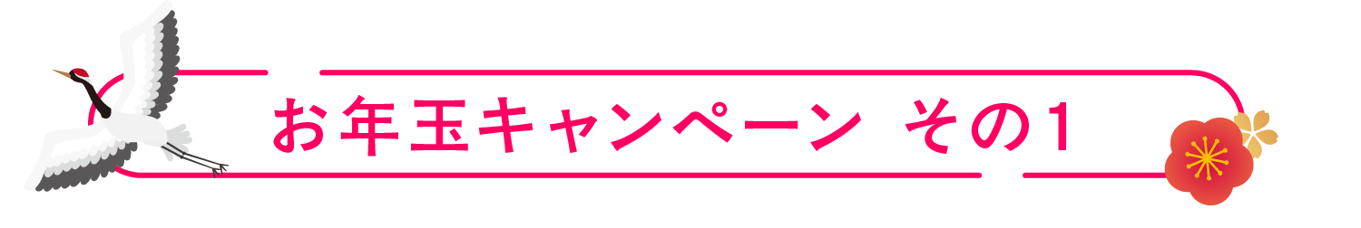 お年玉キャンペーンその１